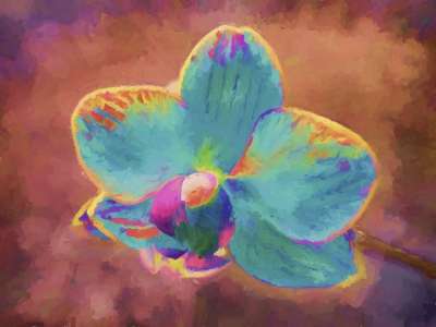 艺术绘画 现代艺术 花卉画 花 蓝色的 粉色的 兰花 画 艺术的