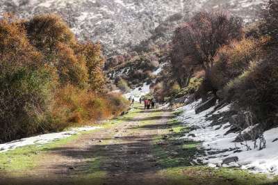 山 雪 徒步旅行 秋天 Lugros 格拉纳达 风景 景观
