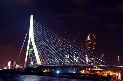 鹿特丹 桥 结构 荷兰 伊拉斯莫斯 地标 夜晚 夜间拍摄