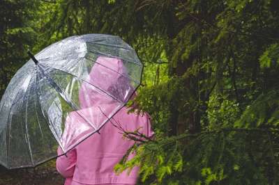 雨伞 透明的 女士 森林 自然 雨 湿的 雨滴 恶劣的天气 人
