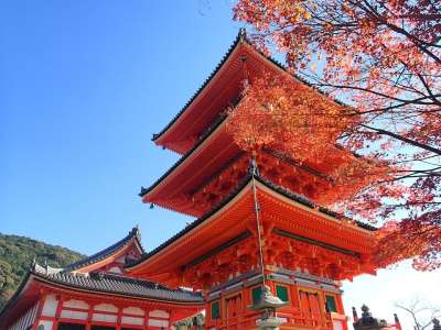 红叶狩 京都 秋天 京都 京都 京都 京都 京都