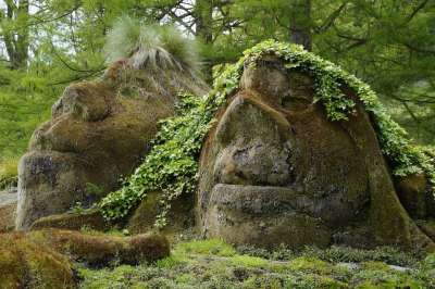 巨魔 侏儒 神秘生物 童话 长满青苔 苔藓 长满苔藓 植被