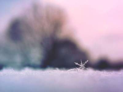 雪花 冰 雪 冬天