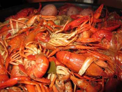 小龙虾 食物 煮沸 新奥尔良 海鲜 贝类 新鲜的 甲壳类 爪