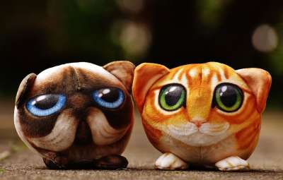 猫 可爱的玩具 可爱的 填充玩具动物 玩具 柔软的 小猫 儿童玩具