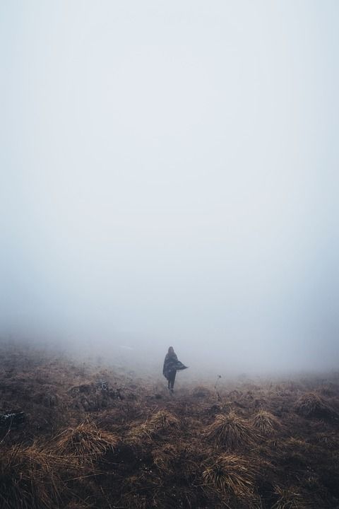 山 高地 草 户外的 远足 跋涉 旅行 独自的 人们 女士