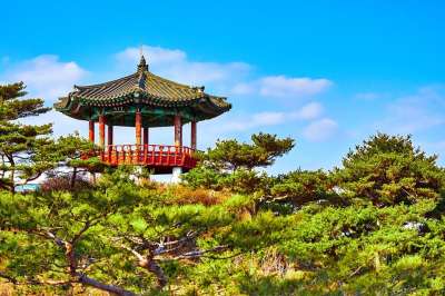 韩国 结构 寺庙 警卫 塔 树木 树梢上
