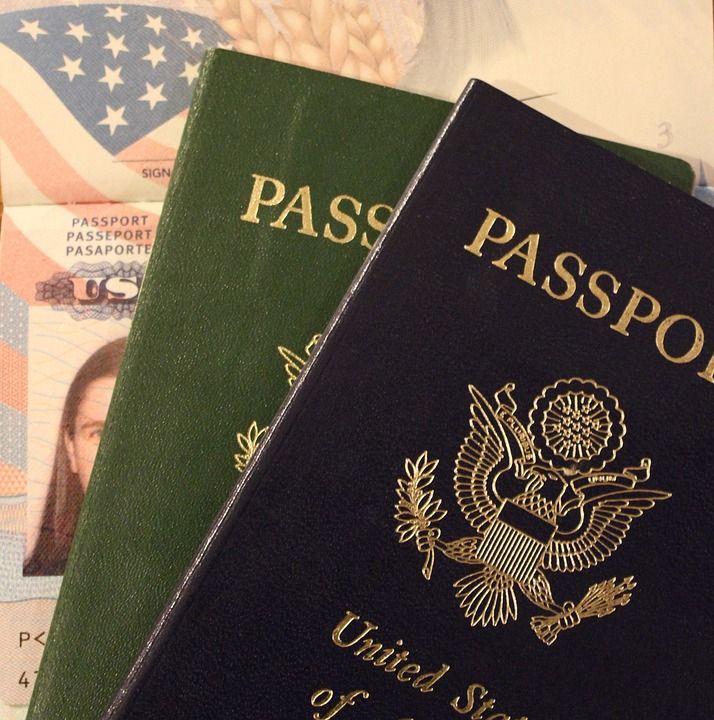护照 美国 文件 旅行 文档 鉴别 移民 Id 国籍 国际的