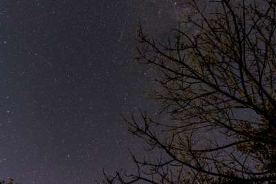 夜晚 星空 星星 夜空 黑暗的 宇宙 天文学 长期接触