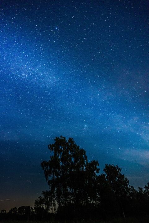 星星 星空 银河 夜晚 树 轮廓 自然 景观
