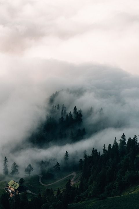 手机壁纸, 阿尔卑斯山, 山, 多雾路段, 云, 自然, 树木, 森林, 景观