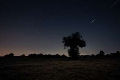 射击之星 星星 夜空 仙人掌 星空 灯 长期接触 气氛 大气