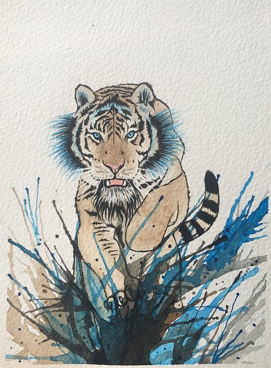 老虎 水彩 艺术 动物 水彩画 绘画 肖像 跑步
