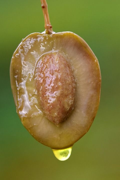 橄榄 橄榄油 绿色 一顿饭 食物 享受 成熟 高雅 苦的 关闭