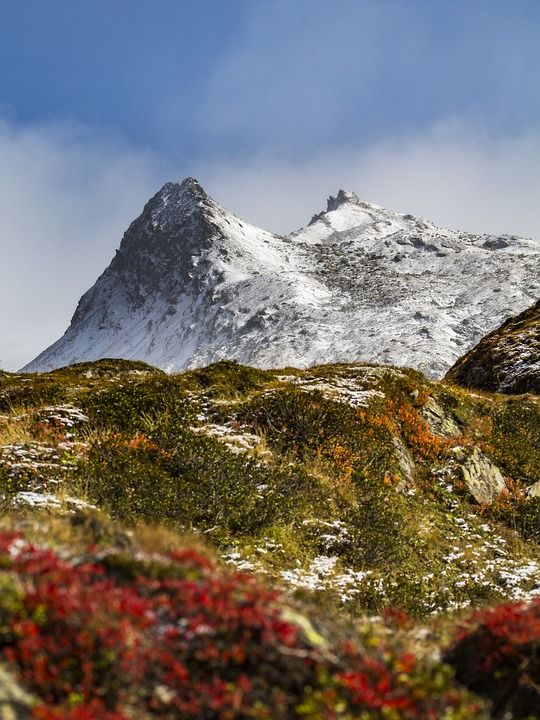 高山 山 自然 首脑 全景 奥地利 陡 阿尔卑斯山的景 秋天