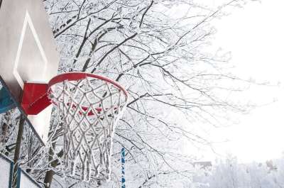 冬季 雪 寒冷的 霜 冰 圆环 篮球 弗罗斯特 树木 树