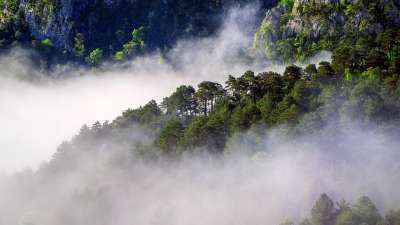 雾 气象 亲爱的 天气 景观 云 自然 环境 风景 别紧张