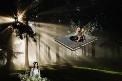 幻想 森林 光 仙女 花季少女 气氛 浪漫的 蒙太奇 自然