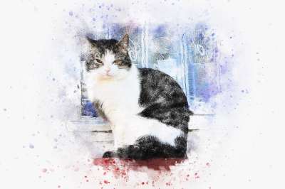 猫 动物 艺术 抽象 水彩 优质的 丰富多彩的 基蒂 T恤