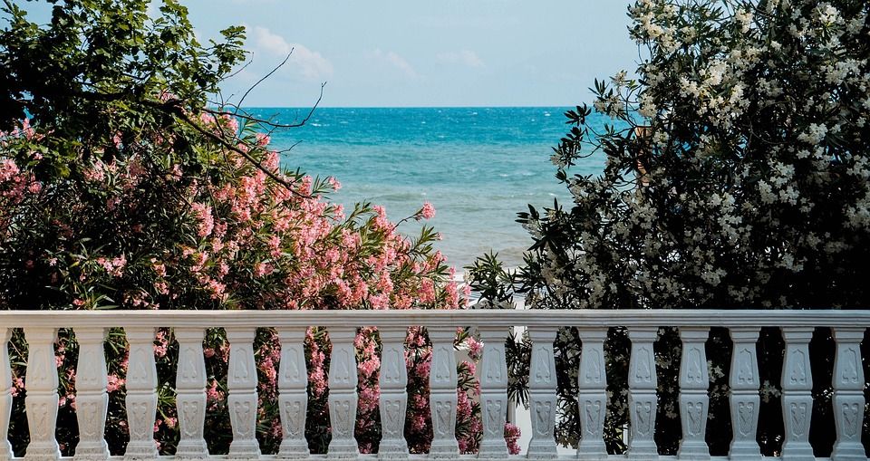 海, 树木, 植物, 夏天, 度假, 海滩, 水, 沉默