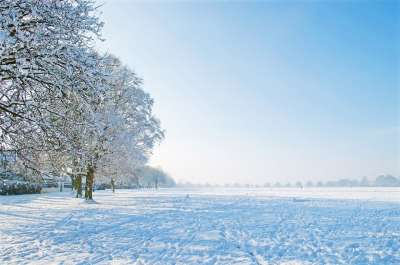 好的 冬天 天 树 树木 雪 下雪的 雪下了 季节 自然