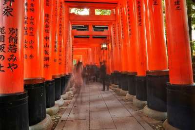 京都 日本 日本人 地标 结构 文化 宗教 旅行 关西 寺庙