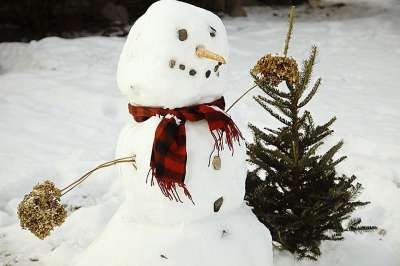 雪人 雪 白色的 冬天 圣诞节 寒冷的 霜 户外 季节 快乐的