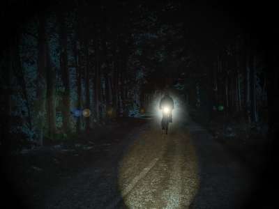 骑自行车的人 夜晚 公园 可怕的 聚光灯 光 小路 首页