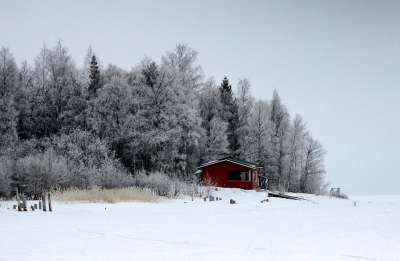 芬兰 景观 风景秀丽的 森林 树木 冬天 雪 冰 房子 小屋