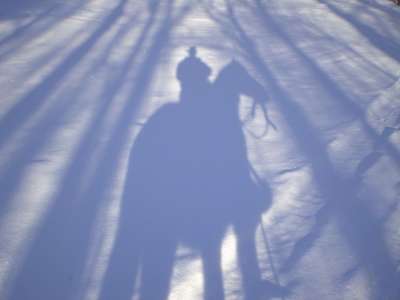 牛仔 阴影 马 雪 冬天 西 帽子 图标 荒野 人 男人