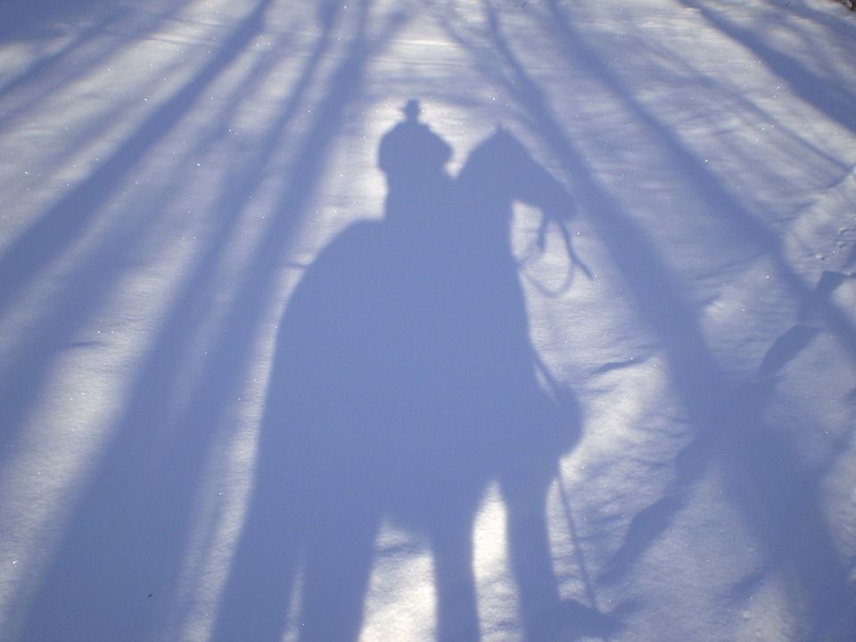 牛仔, 阴影, 马, 雪, 冬天, 西, 帽子, 图标, 荒野, 人, 男人