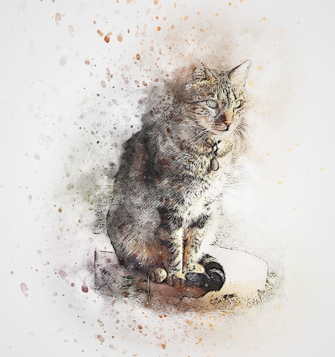 猫, 宠物, 艺术, 抽象, 水彩, 优质的, 小猫, 艺术的, 设计, 水彩画