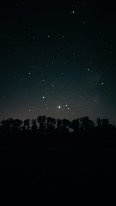 星星 树木 银河 剪影 树剪影 天空 夜晚 夜空 繁星点点
