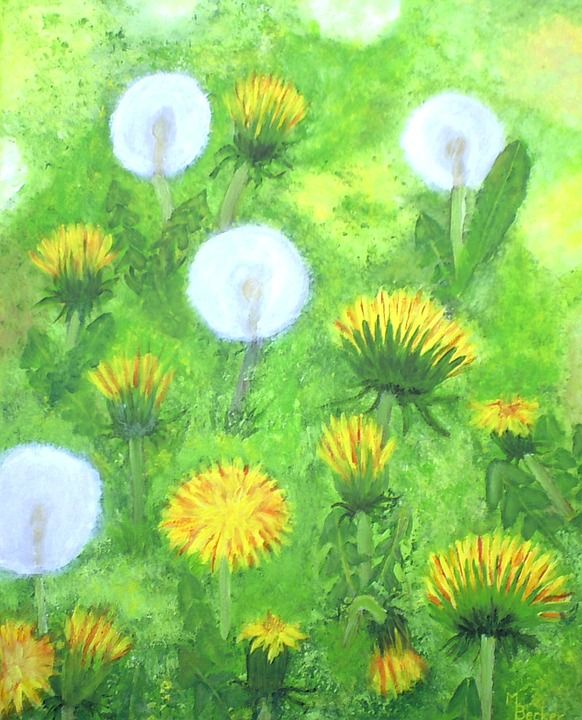 蒲公英, 草地, 花, 开花, 绘画, 图片, 艺术, 作画, 染, 艺术的