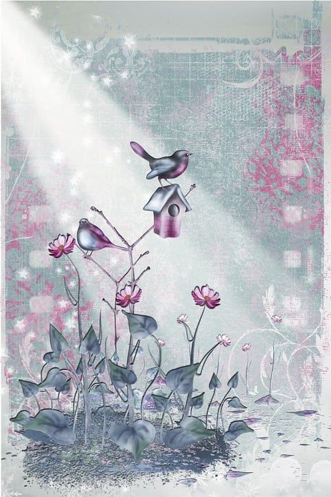 鸟, 数字图稿, 艺术品, 数字艺术, 幻想, 计算机图形, 图形, 设计