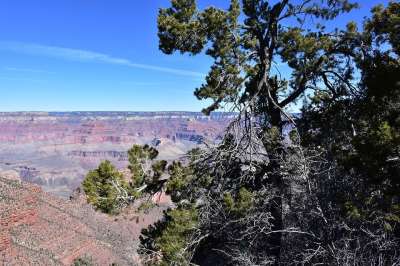 山 大峡谷 美国 旅游景点 岗楼 国家公园 旅行 陡崖 全景图