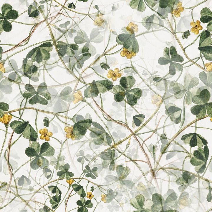 树叶, 花朵, 植物, 花艺设计, 设计, 花卉图案, 盛开, 开花, 背景