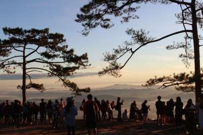 富克拉登 自然 太阳 泰国 悬崖 冒险 树 旅游景点 山 游客