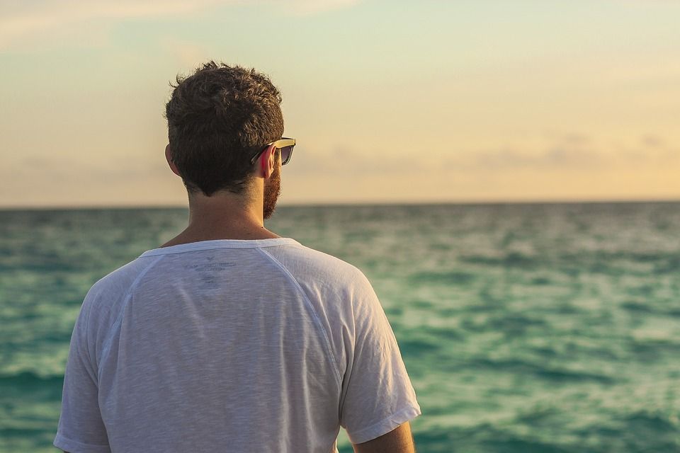 人们, 看着, 地平线, 背部, 人, 户外的, 海滩, 海, 夏天, 海洋