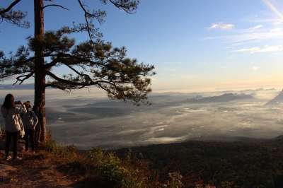 富克拉登 自然 太阳 泰国 悬崖 冒险 树 旅游景点 山 游客