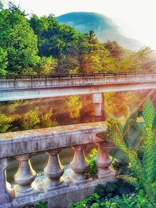 桥 路 高速公路 结构 河 景观 旅行 自然 树木 森林