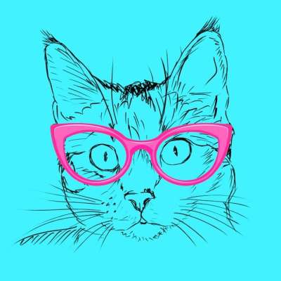 蓝色的 猫 粉色的 眼镜