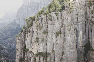 山 森林 峡谷 树木 谷 植被 高的 自然 景观 旅行