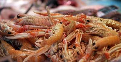 大虾 海洋 虾 食物 海鲜 新鲜的 海 鱼 美食 贝类 龙虾