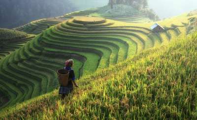 农业 亚洲 中国 农场 收成 小屋 土地 山 自然 稻壳