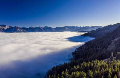 山 多雾路段 阿尔卑斯山 景观 自然 风景秀丽的 树木 森林