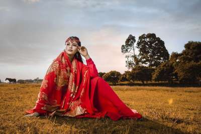 女士 日落 戏服 草地 草 雪纺布料 国家的 越南 越南人