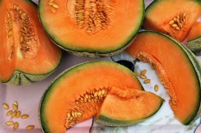 可口 瓜 橙色 营养 新鲜的 健康 瘦身 素食主义者 一顿饭
