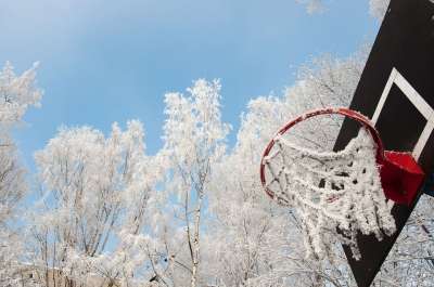 冬季 雪 寒冷的 霜 冰 圆环 篮球 弗罗斯特 树木 树