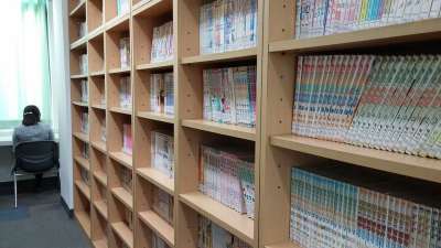 图书 架子 图书馆 漫画书 漫画 小说 书店 书架